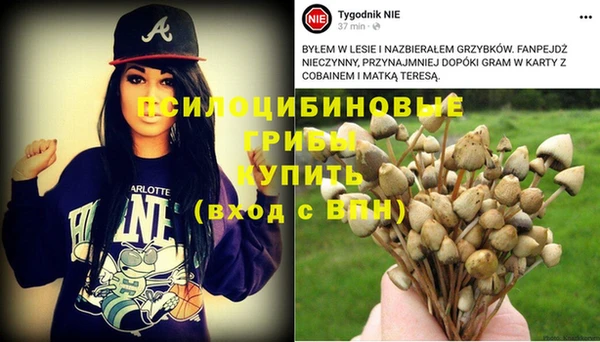 твердый Алексеевка