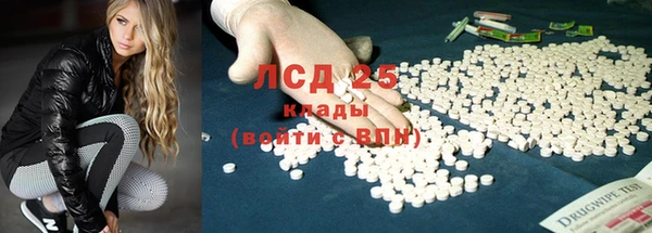 ГАЛЛЮЦИНОГЕННЫЕ ГРИБЫ Алексин
