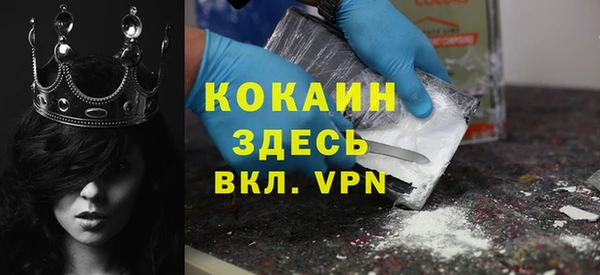 твердый Алексеевка