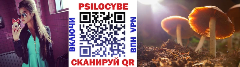 Галлюциногенные грибы прущие грибы  даркнет сайт  Пласт 
